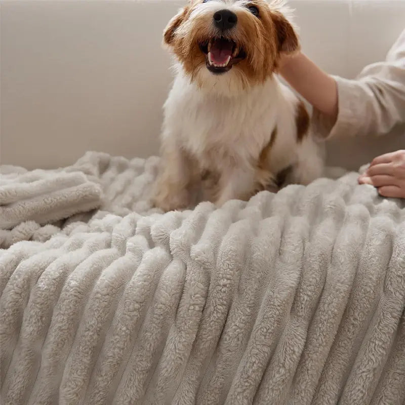 Summer Sale | Striped Cozy Blanket All Season Indoor Outdoor